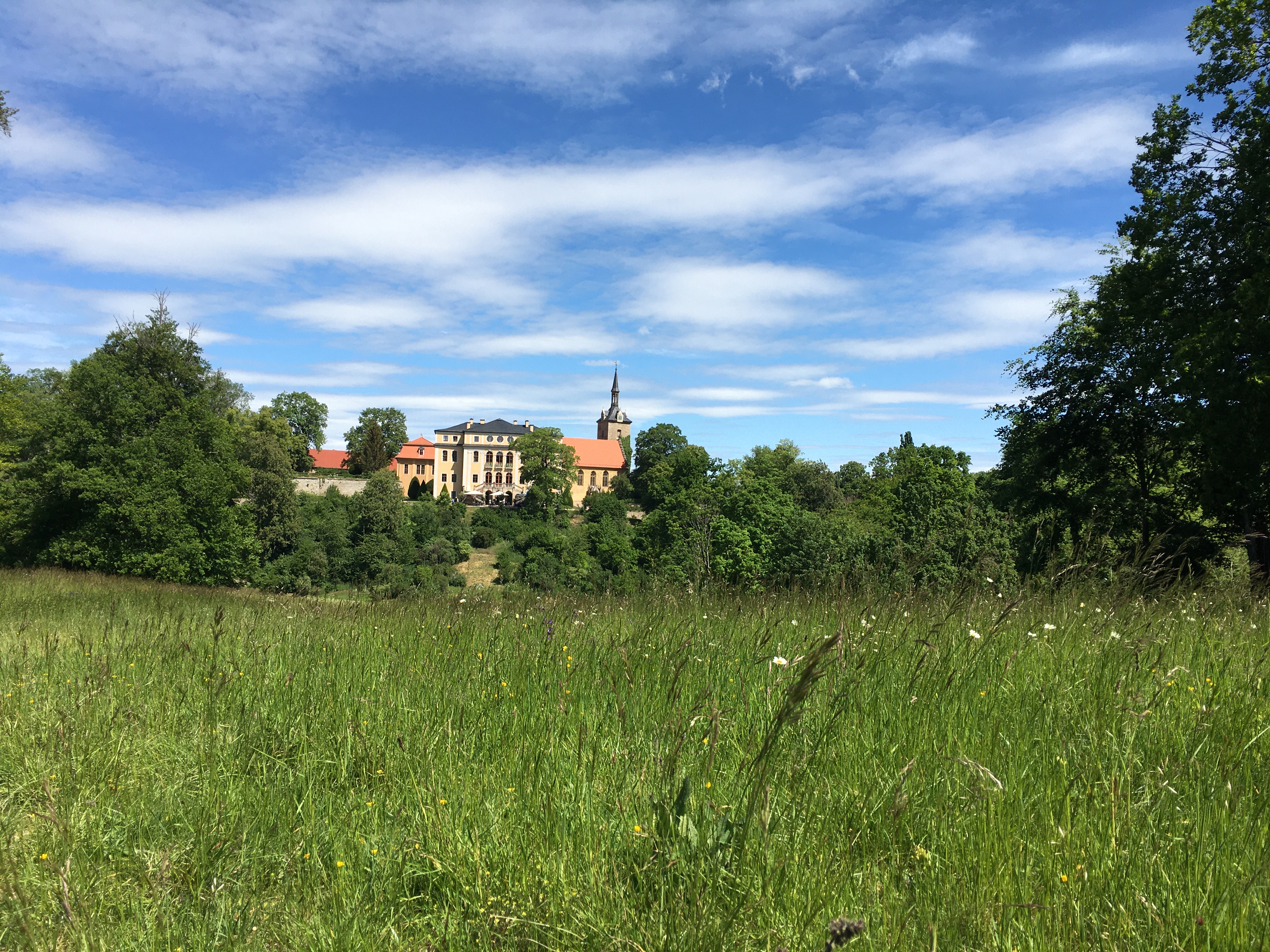 Weite Sichten. Schloss Ettersburg.