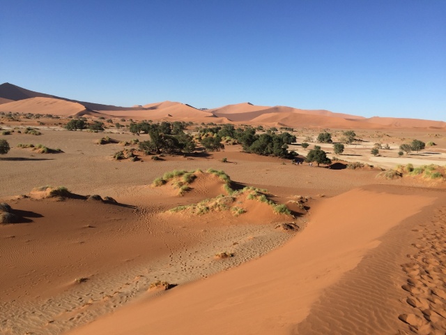 In der Namib..